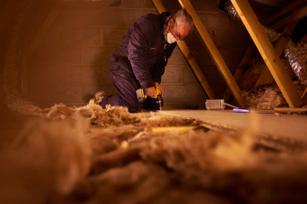 Best Eco-Friendly Insulation in Lake Marcel Stillter, WA